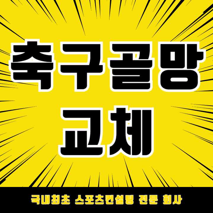  이천 표교초등학교 축구골대 그물망 새 단장 완료!/축구골망 교체