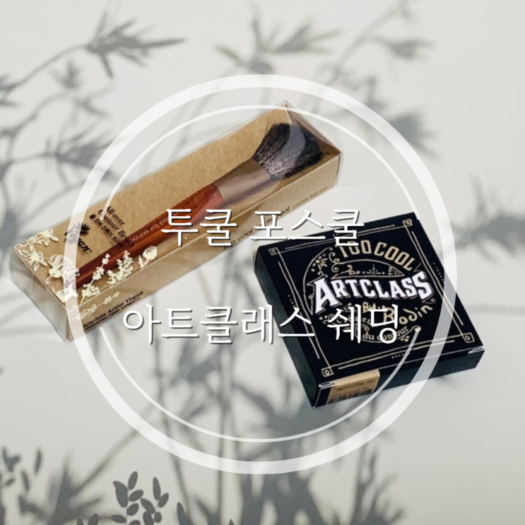  투쿨포스쿨 아트클래스 바이로댕 쉐딩[뉴트럴]+브러쉬 세트 후기