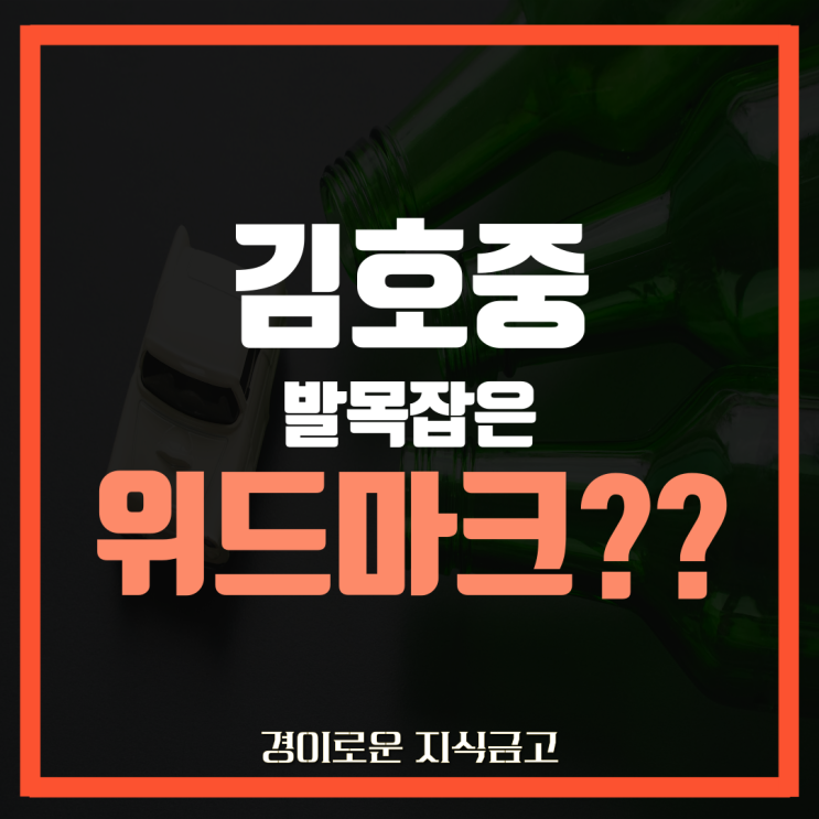 김호중 음주 뺑소니 사건에 나오는 위드마크 공식은??