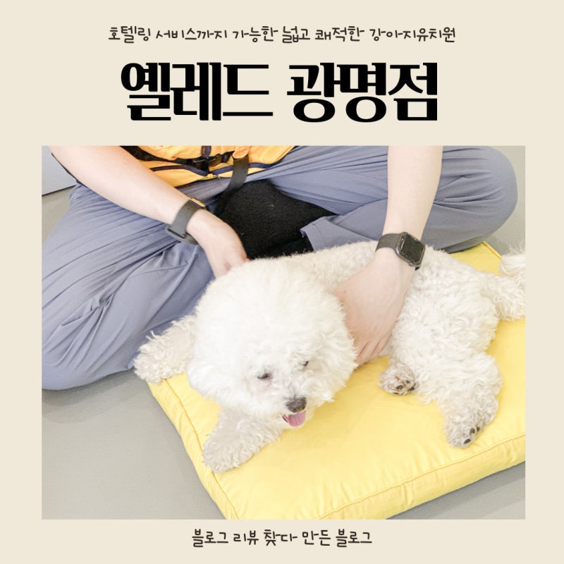 사진 10