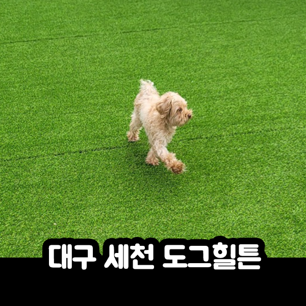 사진 6