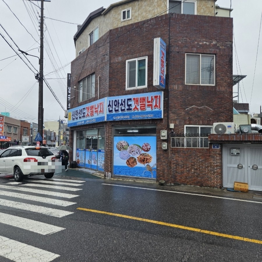 신안선도뻘낙지 사진 2