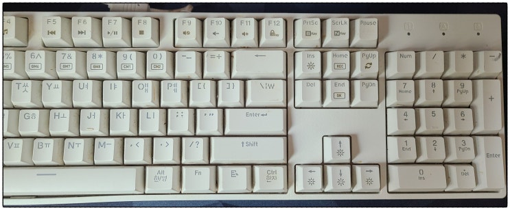  심플한 디자인의 콕스(COX) CK600 소개 및 간단리뷰