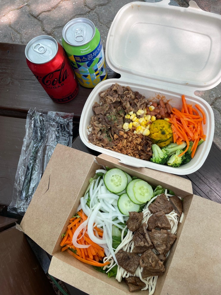  대전 둔산동 샐러드 맛집 ‘샐러디 대전시청점’ 신메뉴 프로틴 박스 포장 후기 (한밭수목원 피크닉)