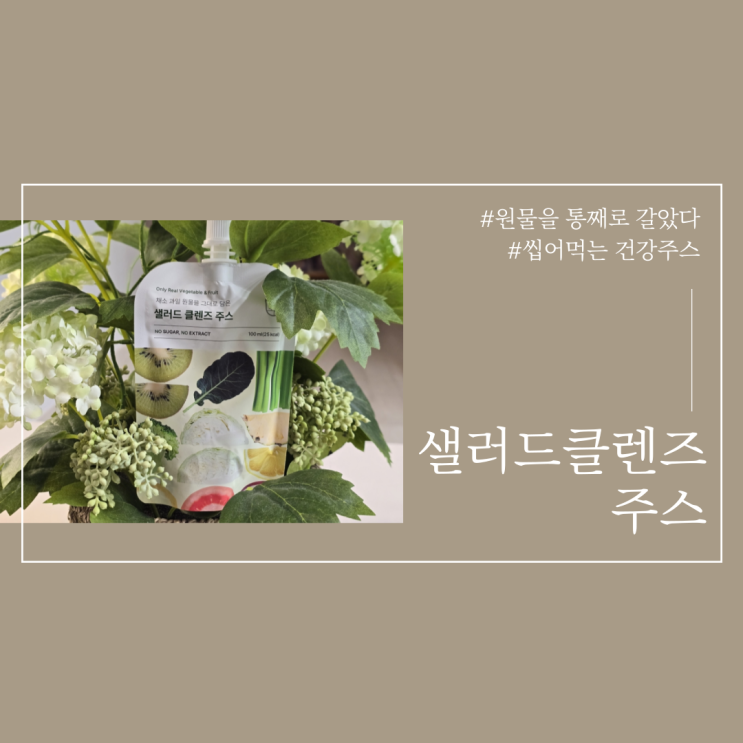  샐러드 클렌즈 주스 씹어먹는 청담보감 주스