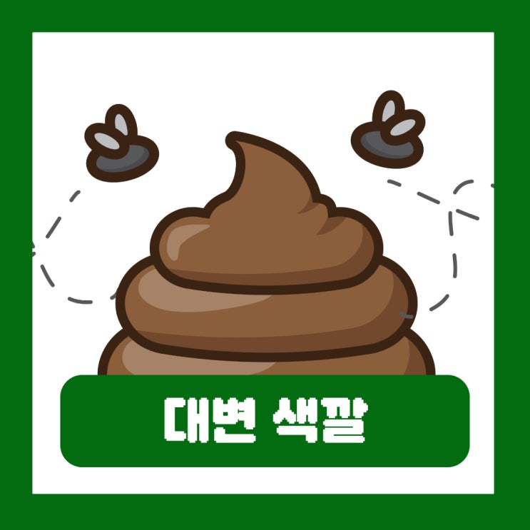  대변 색깔 검은색 녹색 노란색 똥 건강 상태 체크