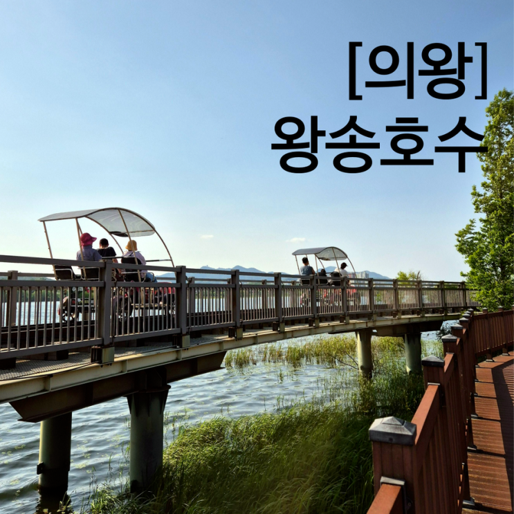  의왕 왕송호수공원 피크닉 놀이터 경기도 숨은 명소 유채꽃 보러 가는 법