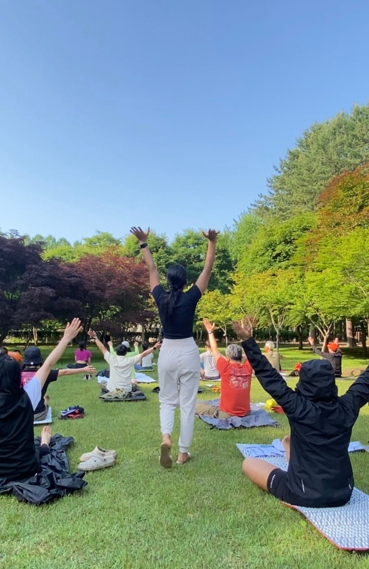  남이섬에서 새벽에 100명이 모인 이유