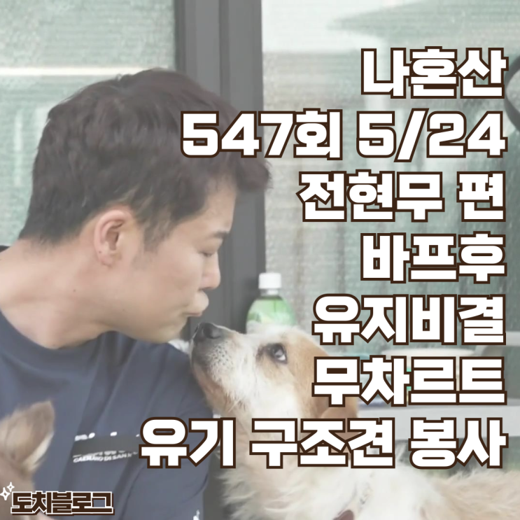 나혼자산다 <b>전현무</b> 바프 후 유지어터 무차르트와 <b>유기견</b>... 