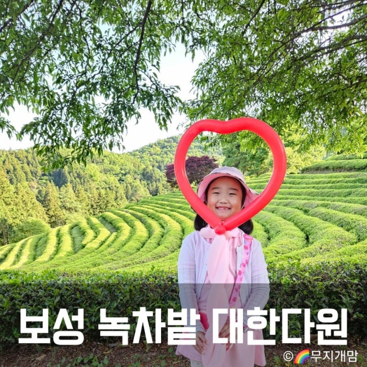  대한다원 보성 녹차밭 아이스크림 주차장