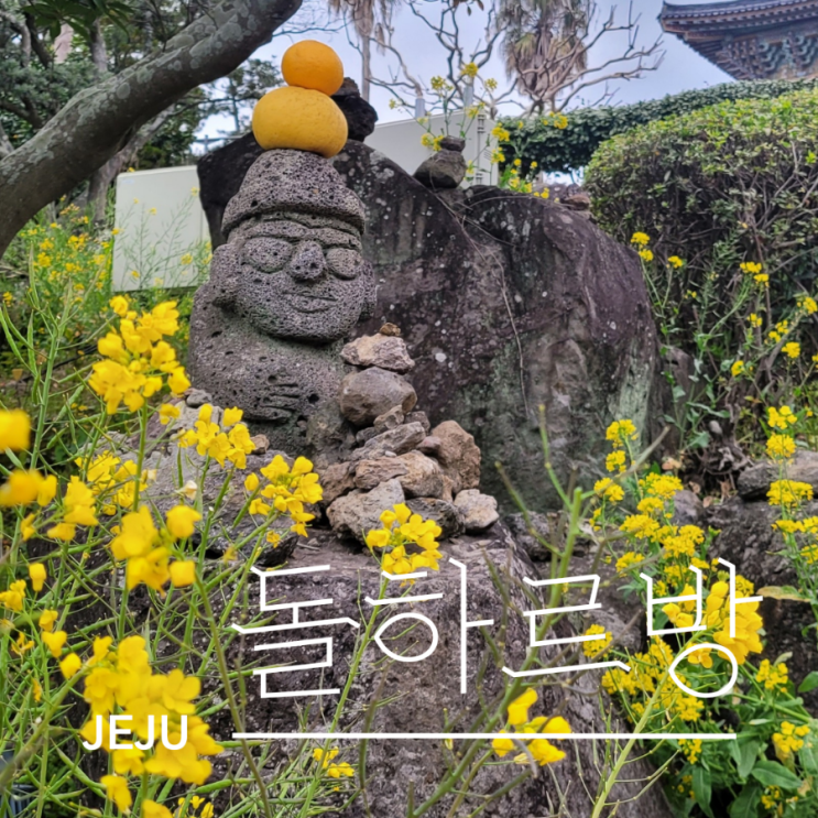  제주의 상징 돌하르방의 유래 제주여행 와서 코코코 아들?