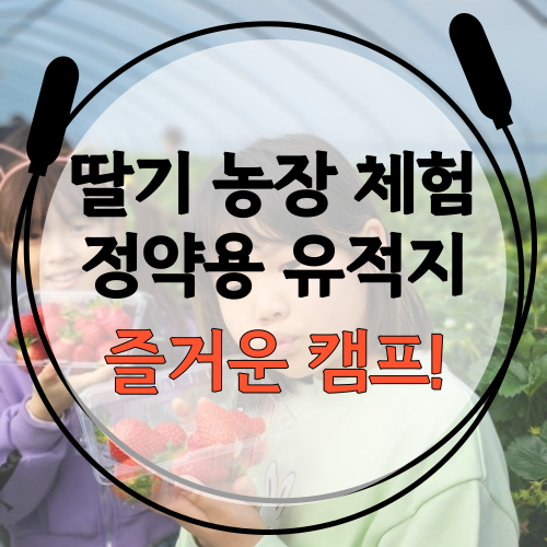  [딸기체험과 정약용유적지 방문] 송파구 잠실 신천동 줄넘기 학원 파워점핑 잠실월드점 잠현초, 잠동초, 잠실중, SDS더자람유치원, 장미유치원 학생 많은 장미아파트 장미상가에 위치