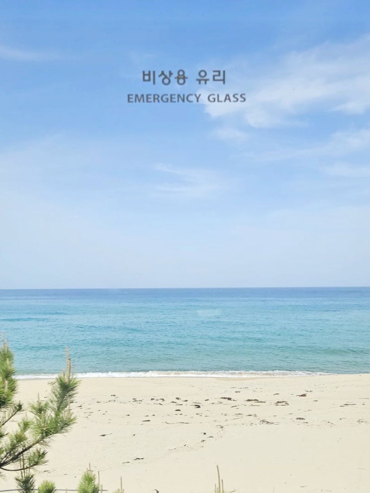  강릉 기차여행, 영동선 누리로 열차타고 동해바다 구경 이모저모!
