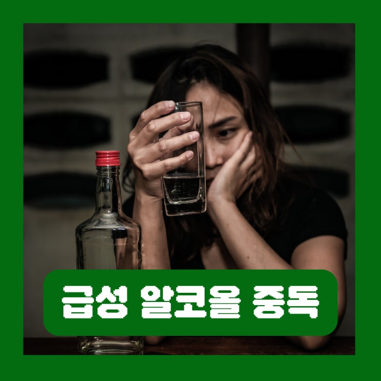  급성 알코올 중독 사망 증상 돌연사 원인 술 섭취량