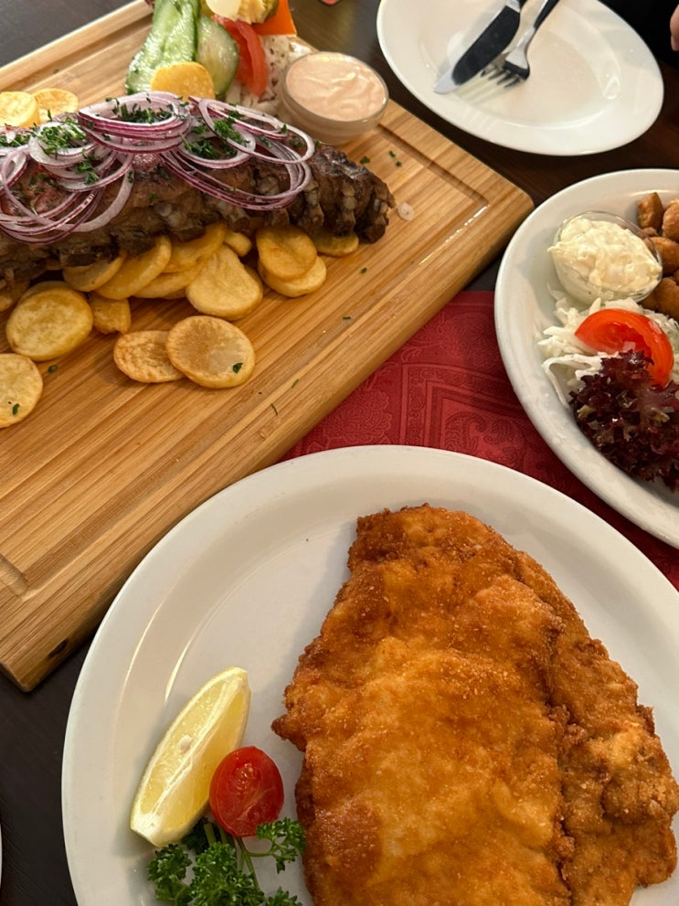  비엔나 맛집 추천 falkensteiner stuberl (립, 슈니첼, 양송이튀김)