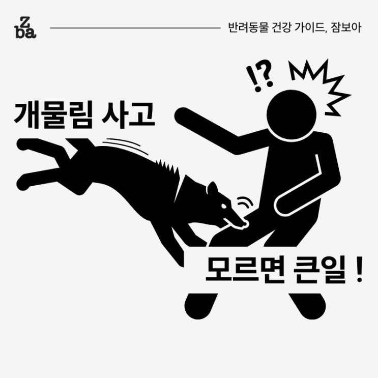  개물림 사고 예방 대처와 치료까지