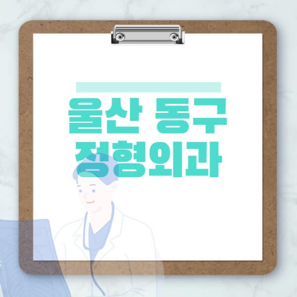 울산 동구 도수치료, 물리치료, 정형외과 정보 알아보기