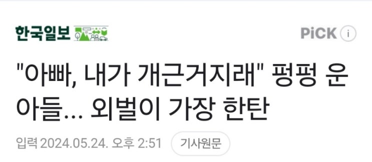 학기중 해외여행 가지 않으면 개근거지 소리 듣나요? (아이자존감올리기) 학기중 해외여행 가지 않으면 개근거지 소리 듣나요? (아이자존감올리기)