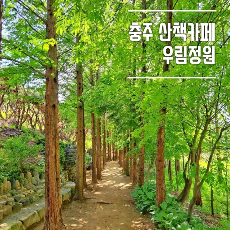  충주 가볼만한 곳, 산책하는 카페 민간정원 우림정원