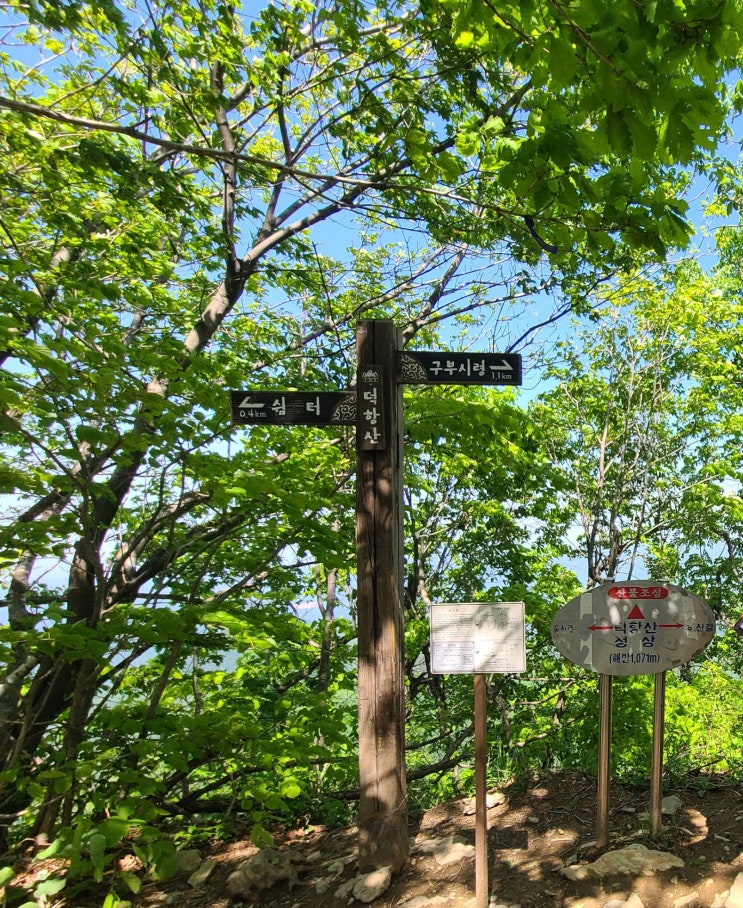  100대명산: 5월 푸르른 삼척 덕항산 (최단코스) 예수원에서 쉼터에서 0.4km만 오르면 정상 우거진 숲을 해치며 가다