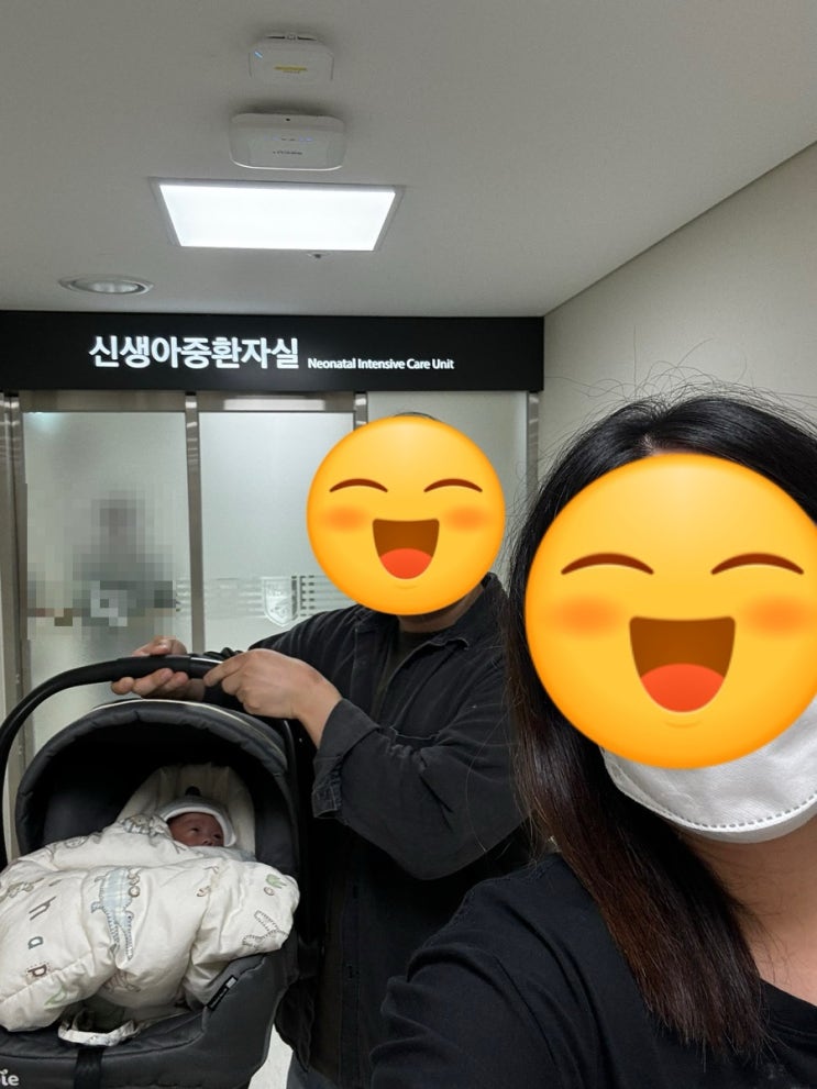 생후 43일차, 용감이 니큐 퇴원! ^~^