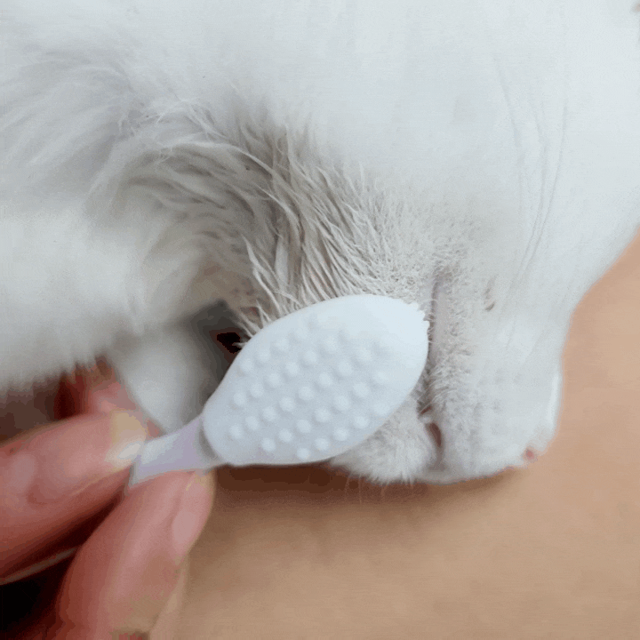  고양이 턱드름 관리 펫케어 자유펫 블랙 씨드 키트