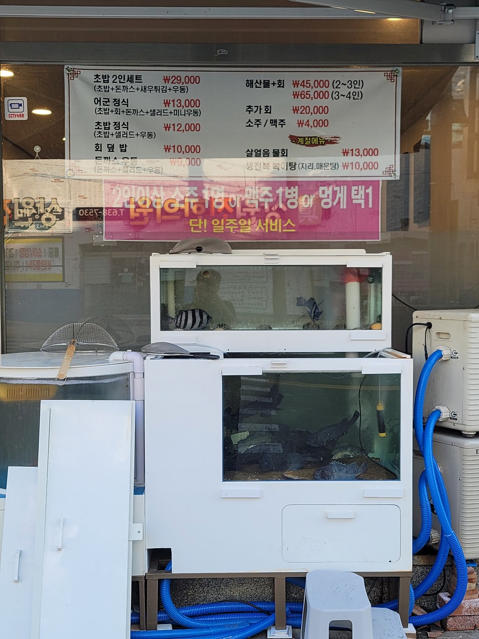 어군 사진 4