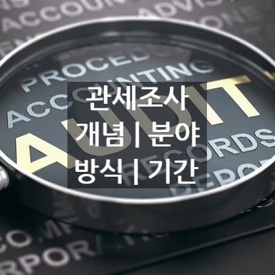  기업심사 법인심사 기획심사? ㄴㄴ 관세조사!