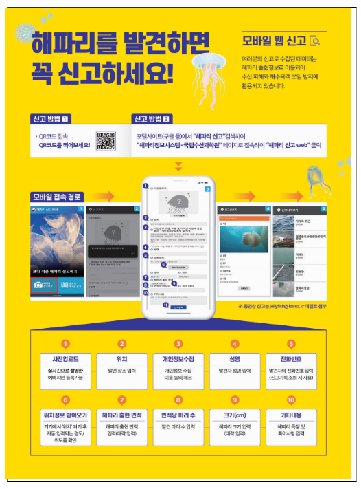 해파리 보시면 신고해 주세요~ 2024년 해파리 피해방지 종합대책 시행 해파리 보시면 신고해 주세요~ 2024년 해파리 피해방지 종합대책 시행