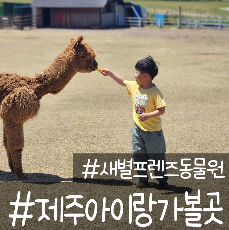  새별프렌즈동물원에서 동물먹이주기체험 할인 및 팁