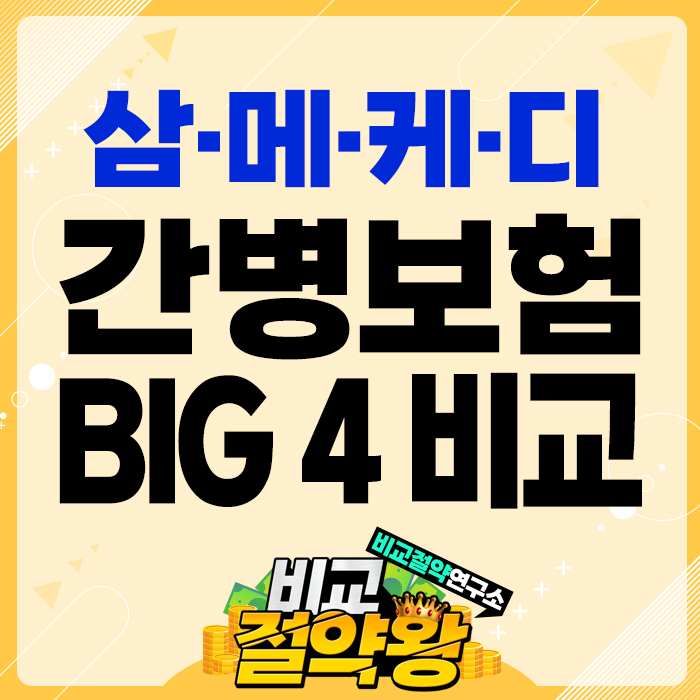  60대 남녀 간병 보험 BIG 4  비교하기