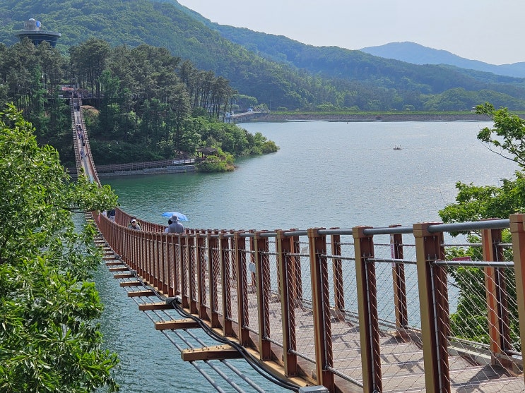 경기도 파주여행 (마장호수 : 출렁다리,전망대, 카페 '레드브릿지') 경기도 파주여행 (마장호수 : 출렁다리,전망대, 카페 '레드브릿지')