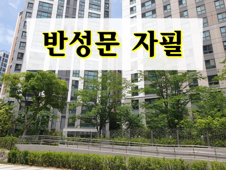  음주운전 반성문 자필 및 주의 사항