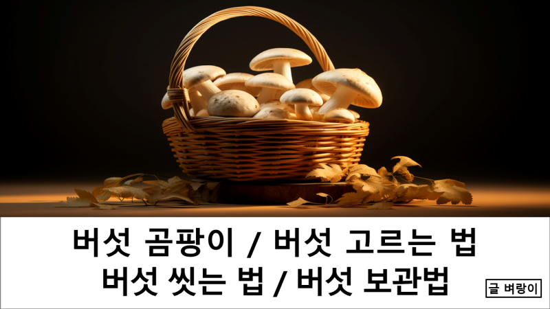 하얀솜털 버섯 곰팡이? / 버섯 물에 씻어도 될까? / 버섯 고르는 법 / 버섯 보관법