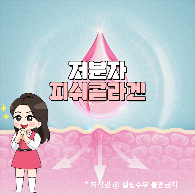 저분자피쉬콜라겐 효능 및 효과적인 피부관리 방법!