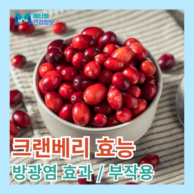  방광염에 좋은 음식 크랜베리 효능 5가지 총정리, 부작용 주의사항 크랜베리주스 효능