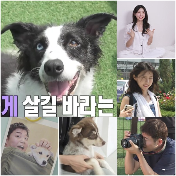 집 인테리어 공개 · <b>전현무 유기견</b> 프로필 사진 촬영 재방송 정보