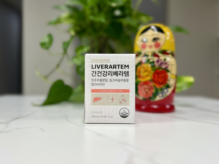  개똥쑥 간에 좋은 약초라고? 간건강리베라템, 간영양제추천