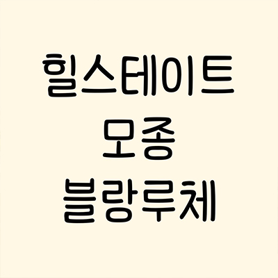  힐스테이트 모종 블랑루체 신축아파트 아산 모종동 현대건설 미분양 잔여세대 계약조건 분양가 모델하우스