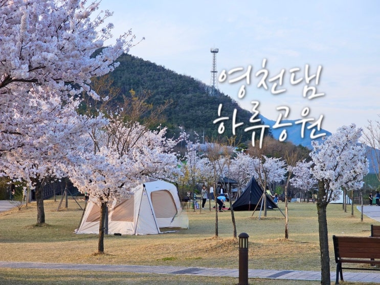  대구근교 경북 무료 노지캠핑 물놀이터 영천댐하류공원 캠핑장