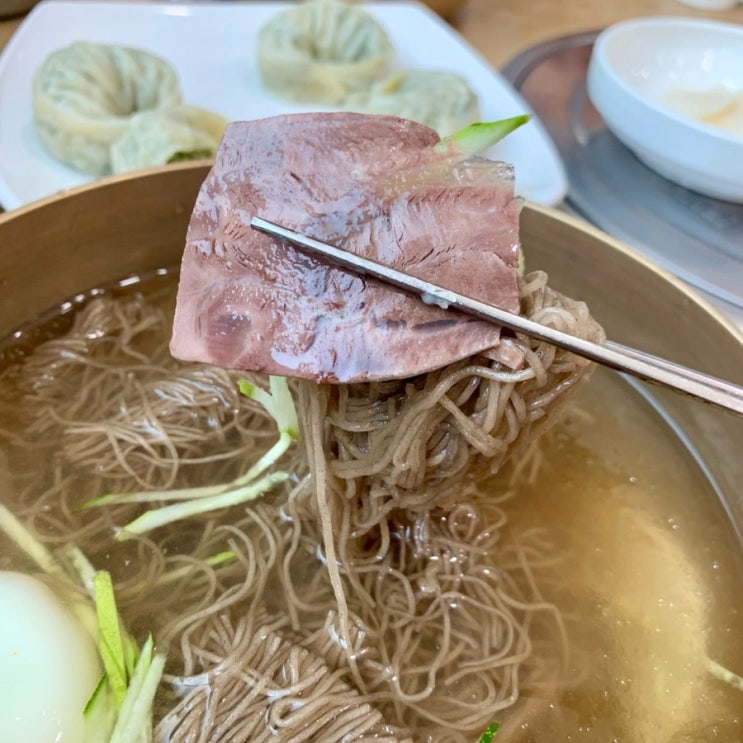  대전 냉면 맛집 대들보 함흥면옥 물냉 비냉 손만두