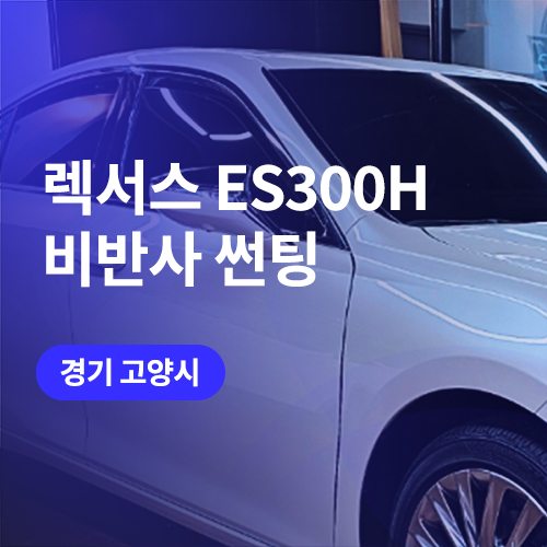  김포, 고양 비반사 썬팅.. 믿고 맡기는 곳 렉서스 ES300H (블락포디 디토)