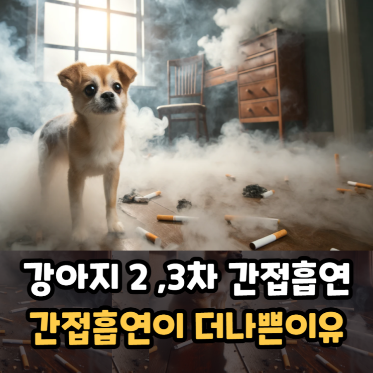  강아지 간접흡연 피해위험 2차, 3차 간접흡연이더나쁜이유는?