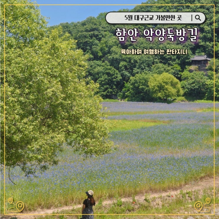  함안 악양둑방길 - 2.5km 꽃길로 유명한 대구근교 데이트코스, 나들이 가볼만한 곳