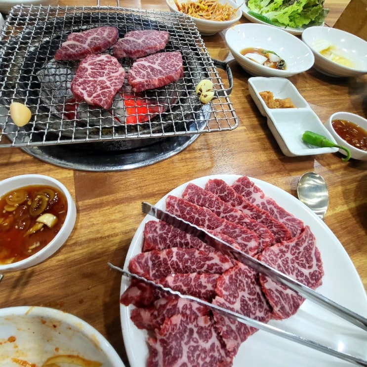  영천한우맛집 가족모임장소 회식장소 추천 갈비살이 맛있는 정현대영천식육식당