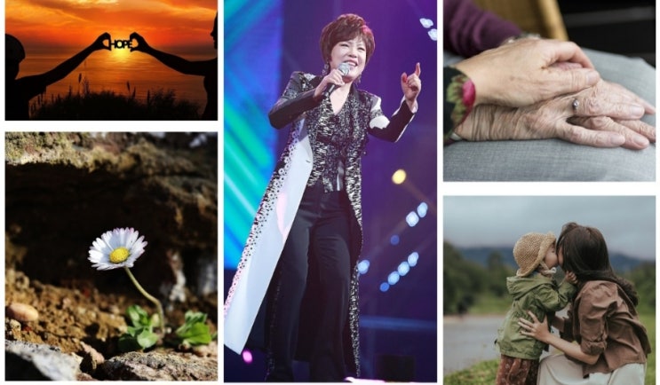 김연자 프로필 나이 고향 키 가족 배우자 종교 신곡 50주년... 