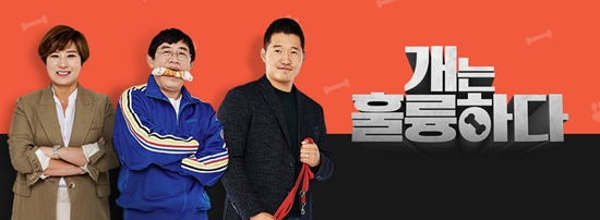 7일만에 입 연 <b>강형욱</b> <b>개훌륭</b> 재개 가능할까