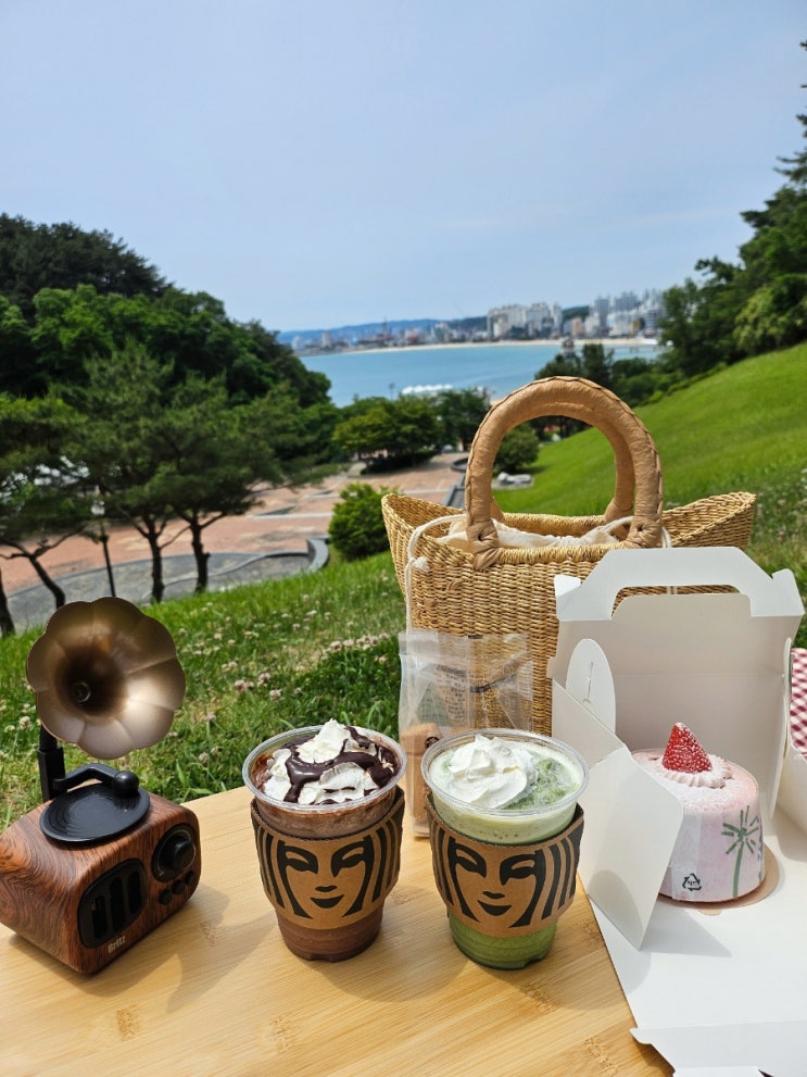 스타벅스 미니 클래식 스콘, 딸기 크림 쉬폰 케이크, 초콜릿 크림칩 프라푸치노, 제주말차 크림 프라푸치노 내돈내산 솔직후기 (Feat. 환호공원 피크닉) 스타벅스 미니 클래식 스콘, 딸기 크림 쉬폰 케이크, 초콜릿 크림칩 프라푸치노, 제주말차 크림 프라푸치노 내돈내산 솔직후기 (Feat. 환호공원 피크닉)