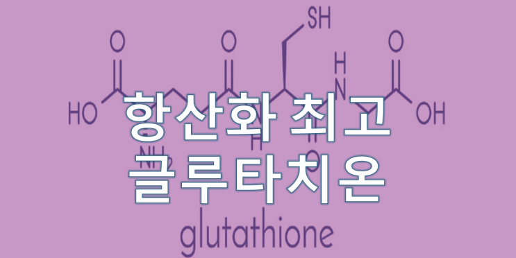  글루타치온 요즘 인기 있는 건강기능식품 이너뷰티 항산화