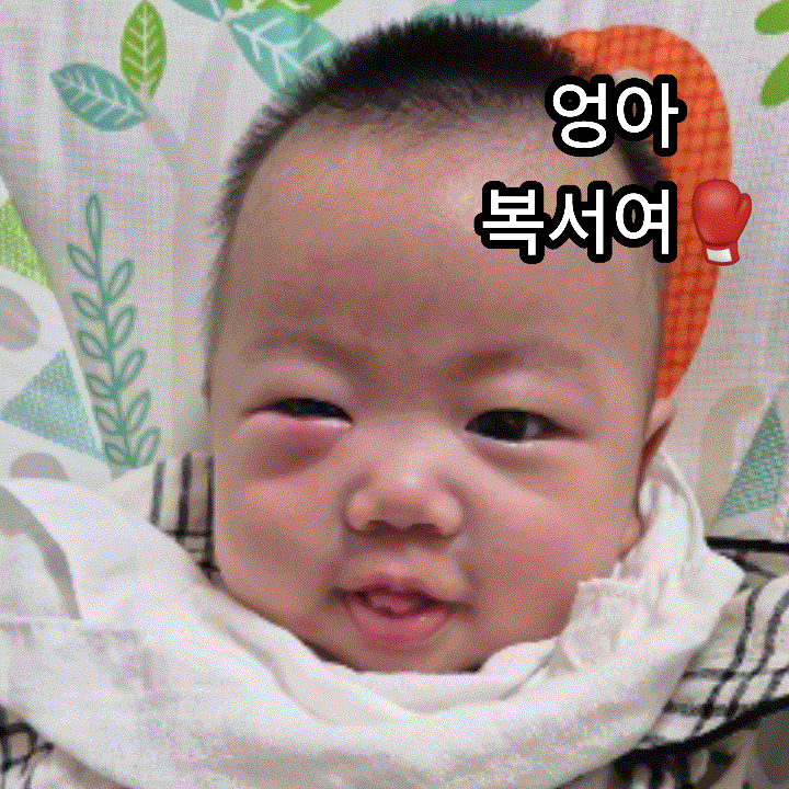  엄마 나가지 마 그게 뭔데 어떻게 하는 건데 ㅣ 신생아 30일 50일 100일 외출 시기  준비물 장소  장거리 경험담